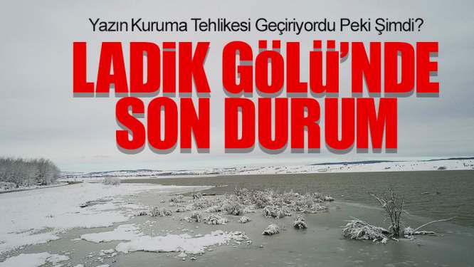 Samsun Haberleri: Kuruma Tehlikesi Geçiren Ladik Gölü'nde Son Durum