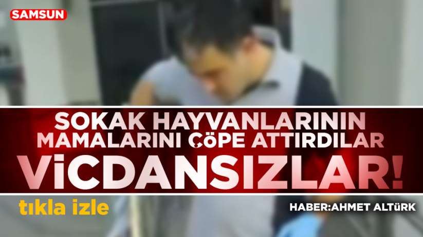 Samsun'da sokak hayvanlarının mamalarını çöpe attırdı.