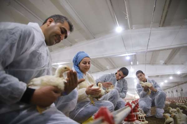 Devletten aldığı destekle çiftlik sahibi oldu, şimdi ailece çalışıyorlar 