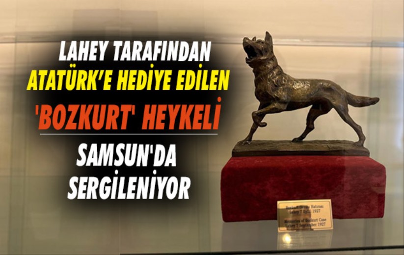 Lahey'in hediye ettiği 'bozkurt' heykeli Samsun'da sergileniyor