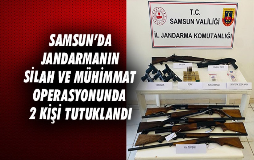 Samsun'da Jandarmanın silah ve mühimmat operasyonunda 2 kişi tutuklandı