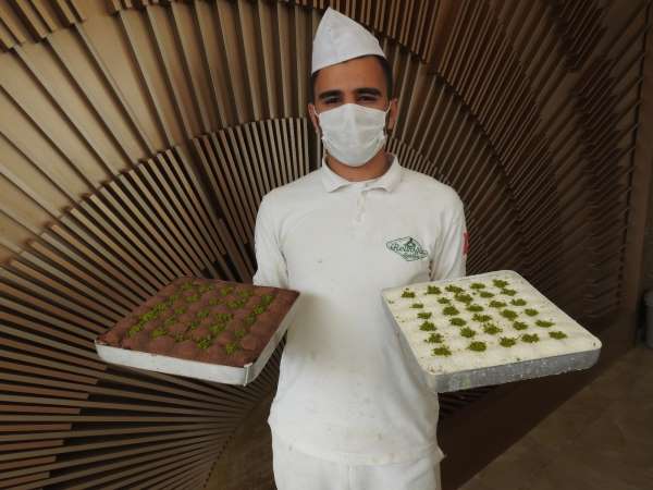 Gastronomi kentinde düşük kalorili lezzet: Soğuk baklava 