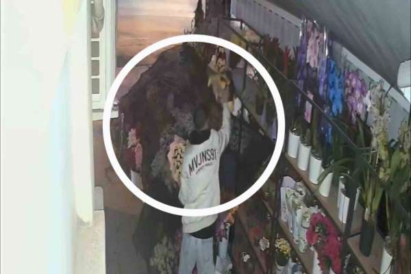 Çiçekçiden 5 bin liralık çiçek çalan hırsız güvenlik kamerasına yakalandı