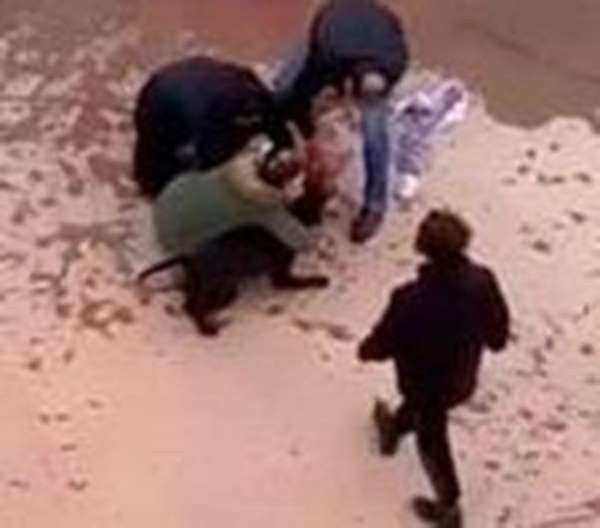 Minik Asiye'ye pitbull saldırısında tahliye edilen 3 sanık tekrar tutuklandı