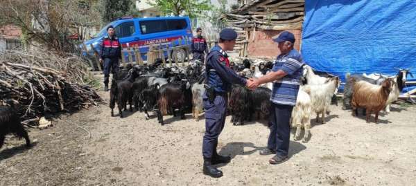 Ormanlık alanda kayboldular, jandarma dronla buldu