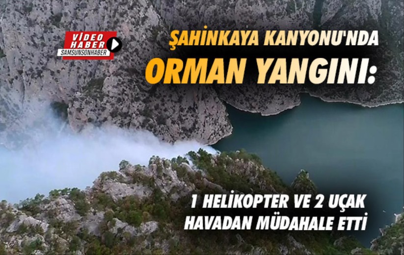 Şahinkaya Kanyonu'nda orman yangını: 1 helikopter ve 2 uçak havadan müdahale etti