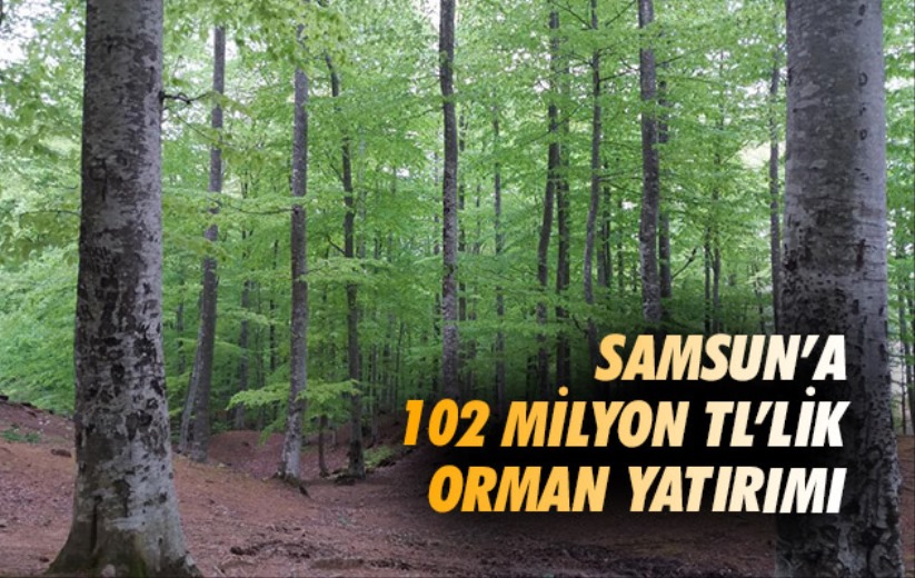 Samsun'a 102 milyon TL'lik orman yatırımı