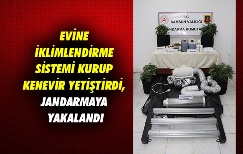 Samsun'da evine iklimlendirme sistemi kurup kenevir yetiştirdi, jandarmaya yakalandı