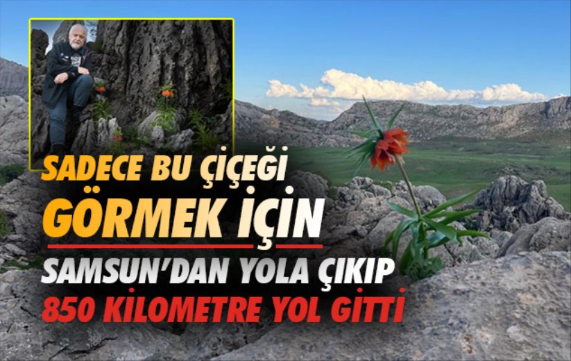 Sadece bir çiçeği görmek için Samsun'dan yola çıkıp 850 kilometre yol gitti