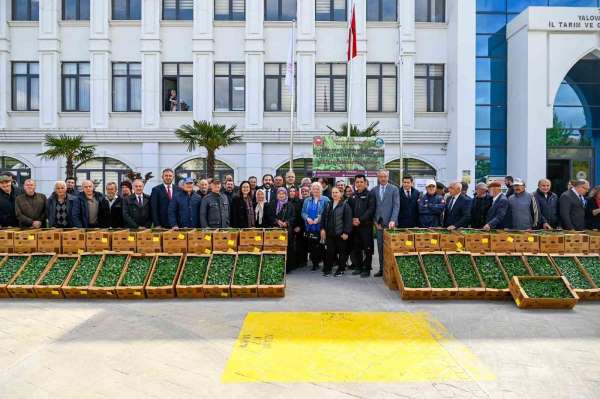Yalova'da çiftçilere 375 bin adet sebze fidesi dağıtıldı