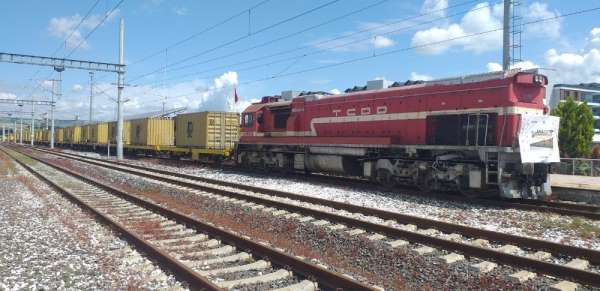 Denizyoluyla taşınacak konteyner tren Tekirdağ'da 