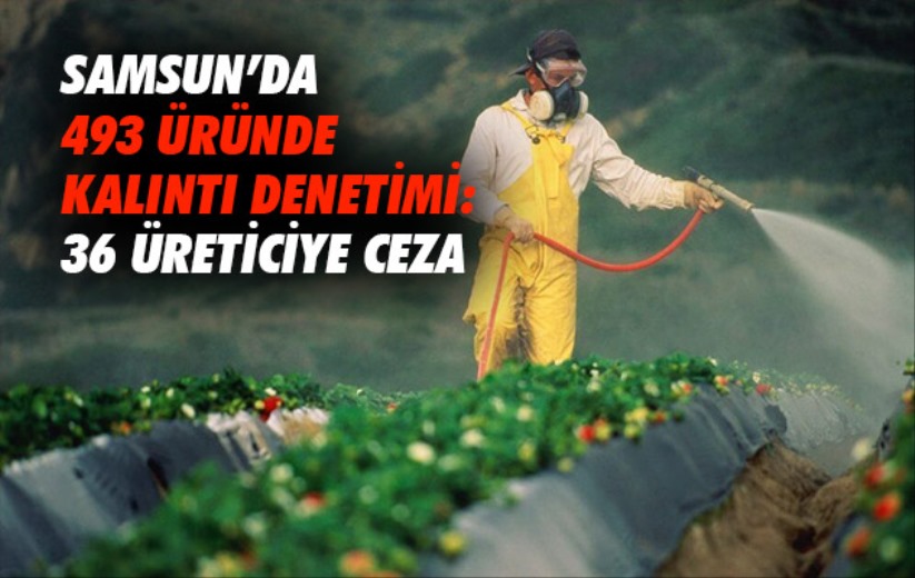 Samsun'da 493 üründe kalıntı denetimi: 36 üreticiye ceza