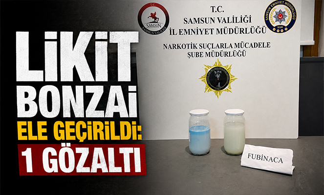 Likit bonzai ele geçirildi: 1 gözaltı