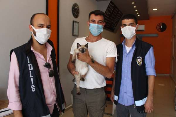 Amasya'da kaybolan kedi Çorum'da bulundu