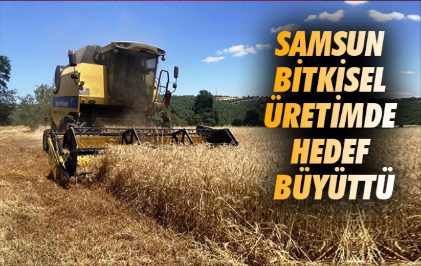 Samsun bitkisel üretimde hedef büyüttü