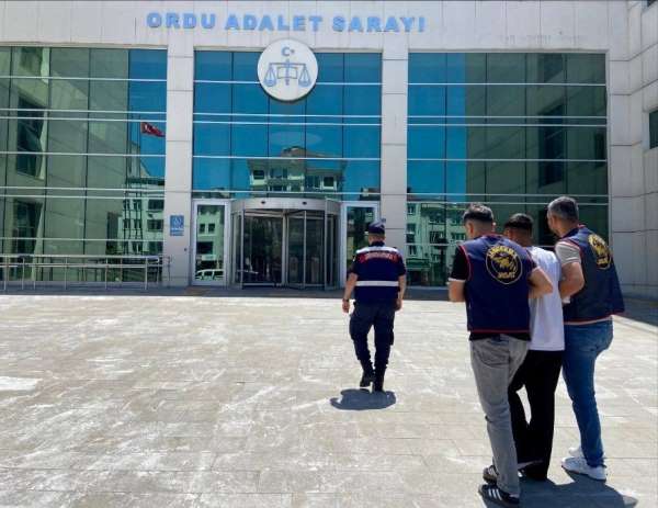 Ordu'da jandarma aranan 37 şüpheliyi yakaladı, 17'si tutuklandı