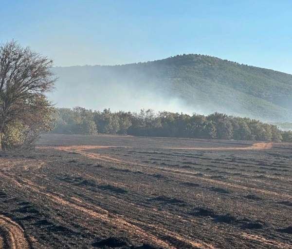 Kütahya Altıntaş'taki arazi yangını kontrol altına alındı