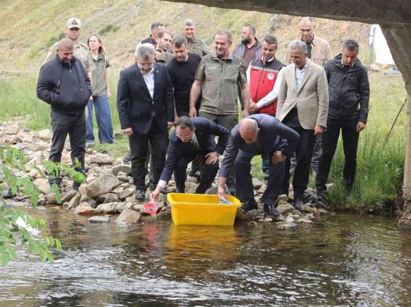 Ordu'da 35 bin doğal alabalık dereye bırakıldı