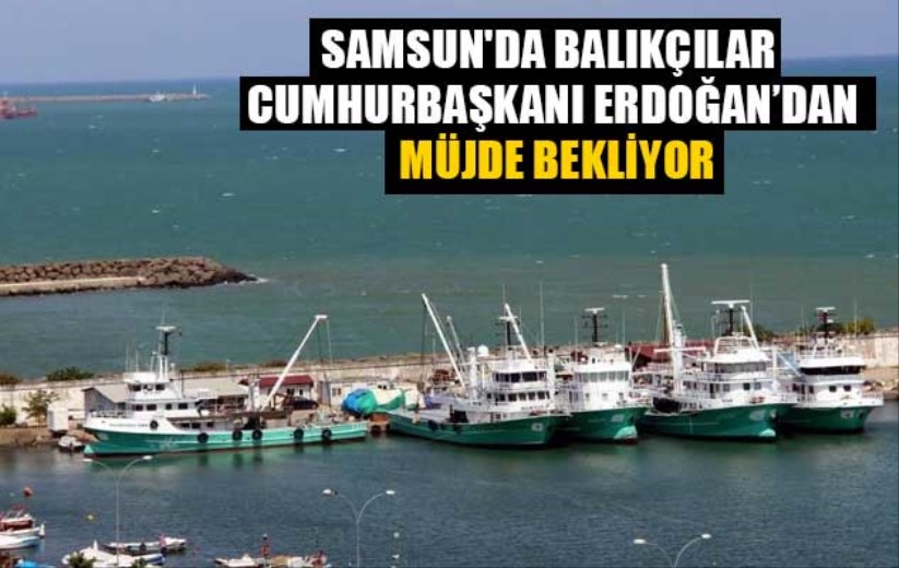 Samsun'da balıkçılar Cumhurbaşkanı Erdoğan'dan müjde bekliyor