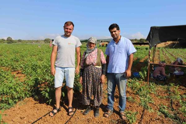 Türkiye'nin ceviz fidanı ihtiyacı bu bölgeden karşılanıyor