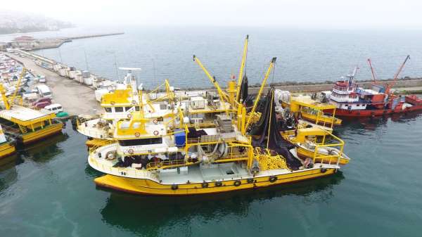 Kooperatif Başkanı Ünlü: 'Bu sene 50 kat daha palamut var'