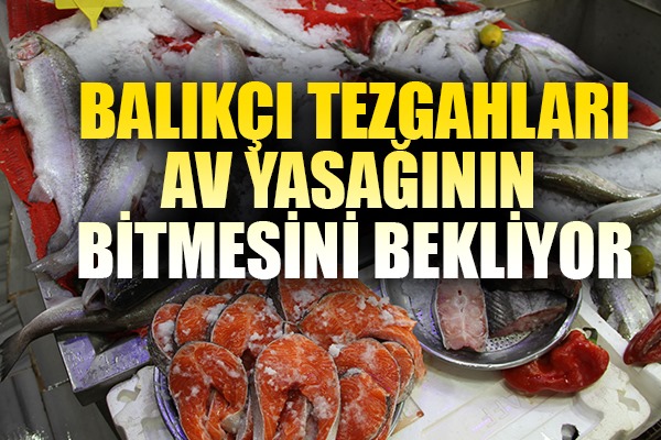 Esnafta 'balık sezonu' hazırlığı