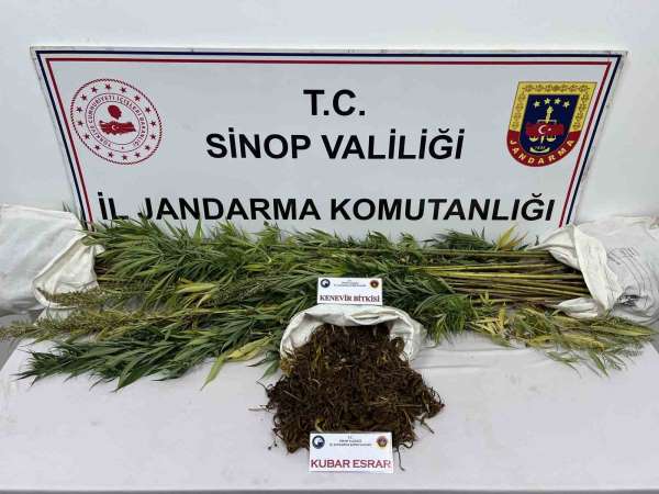 Sinop'ta 425 gram kubar esrar ve 56 kök kenevir bitkisi ele geçirildi