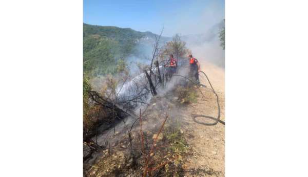 Türkeli'de ormanlık alanda yangın paniği