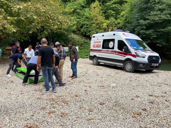 Sinop Erfelek Şelaleleri'nde ağaç devrildi: 2 ölü, 1 yaralı