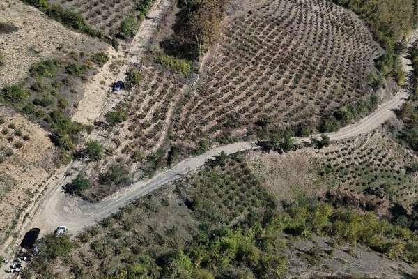 Başkan Sandıkçı'dan dron ile kontrol