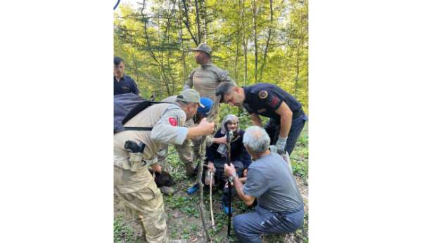 Ormanda kaybolan yaşlı kadın bulundu