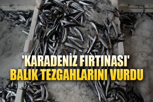 'Karadeniz fırtınası' balık tezgahlarını vurdu