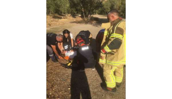 Tunceli'de trafik kazası: 5 yaralı