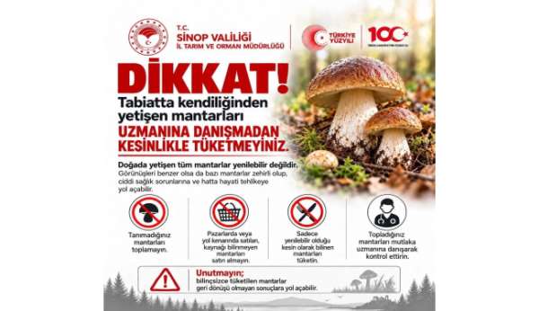 Sinop'ta mantar toplayıcılarına uyarı