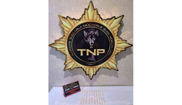 Tokat'ta uyuşturucu operasyonu, 500 içimlik bonzai ele geçirildi