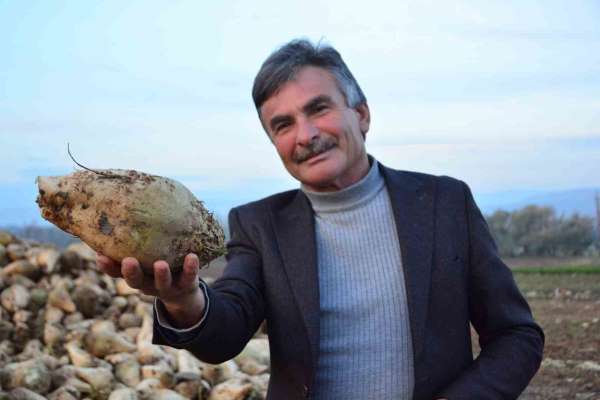 Şeker pancarı üreticisinin sözleri sosyal medyada gündem oldu: ''Ben kazanmıyorum' diyen çiftçiler külliyen ya