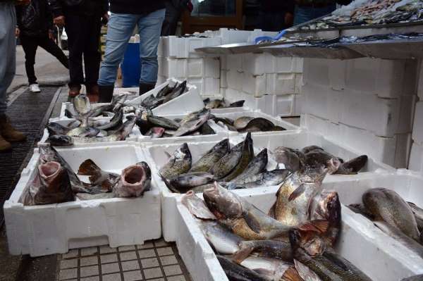 Sinop'ta balık tezgahları şenlendi 
