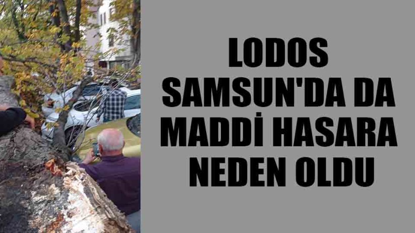 Lodos Samsun'da da maddi hasara neden oldu