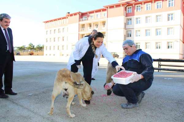 Amasya'da meslek liseliler yemek artıklarını kedi ve köpek mamasına dönüştürdü