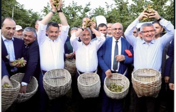 'Fındığın Başkenti' sloganı tartışmaya yol açtı 
