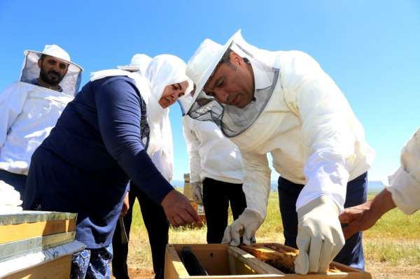 Bingöl'ün balına değer katacak proje 'Ana arı ve sütü üretimi' 