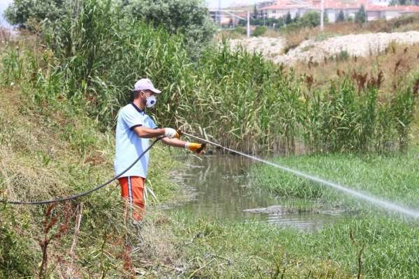 Başakşehir'de çevreye duyarlı sivrisinek mücadelesi 