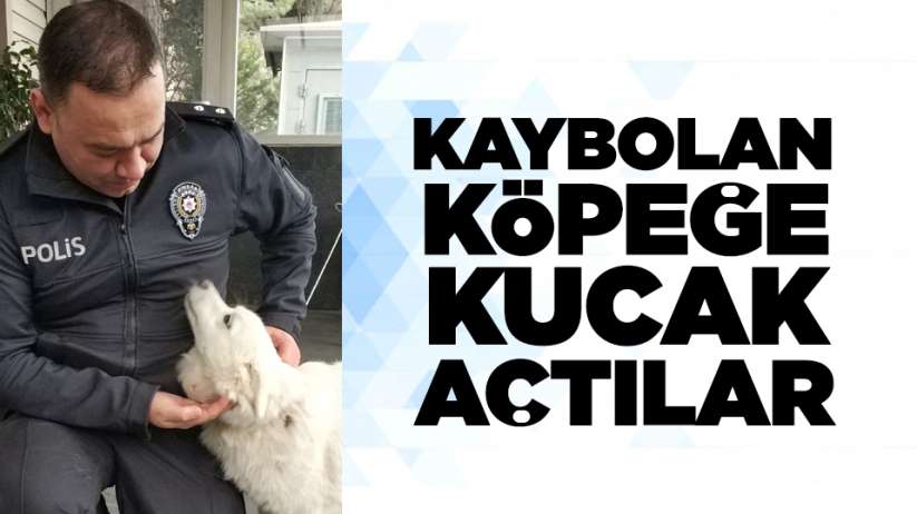 Samsun'da kaybolan köpeğe kucak açtılar