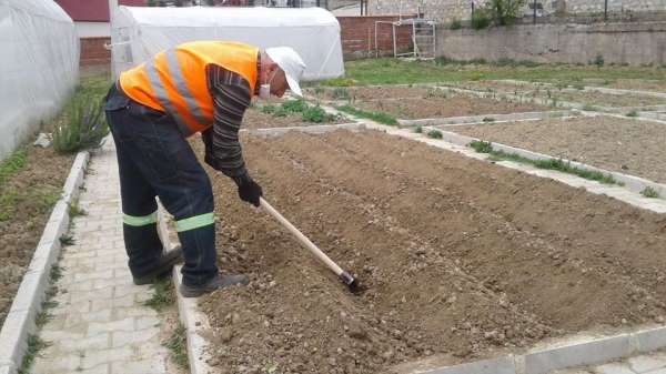 Safranbolu Belediyesi tarımsal çalışmaları sürdürüyor 