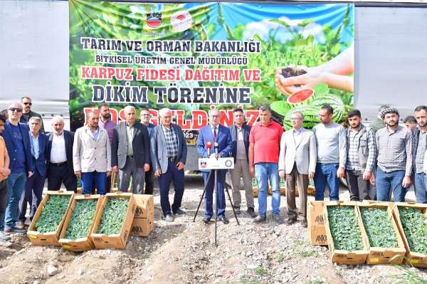 Diyarbakır'da 115 bin karpuz fidesi dağıtıldı - Diyarbakır haber