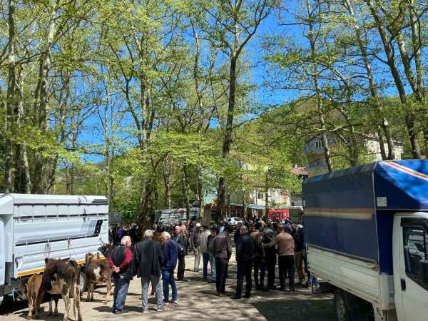 Çarşamba Pazarı'nda Kurban Bayramı hareketliliği başladı