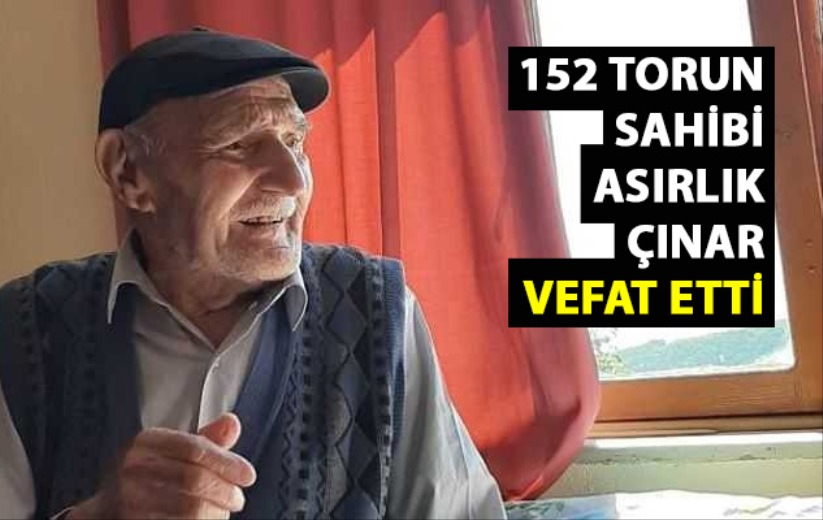 152 torun sahibi asırlık çınar vefat etti