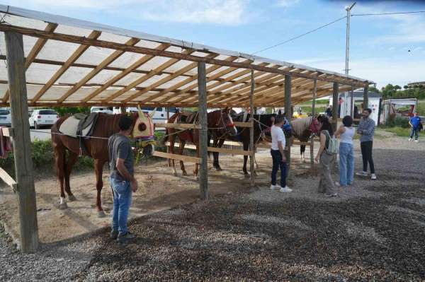 Muş'ta atlı binicilik kulübü, ata sporunu gelecek nesillere aktarıyor