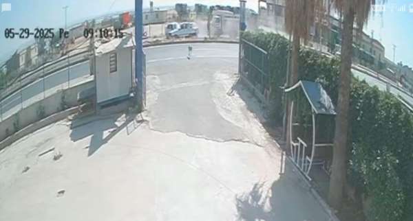 Şanlıurfa'da sokak köpeği zincirleme kazaya neden oldu: 4 yaralı