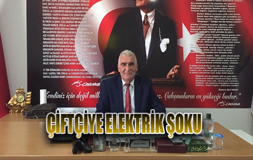 Çiftçiye elektrik şoku